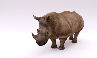 3d image, huge rhinoceros, on white background, copy space, 3d rendering