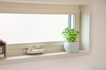 Fototapeta na wymiar 窓際に置いてある観葉植物