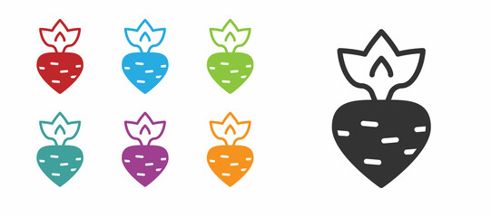 Black Turnip icon isolated on white background. Set icons colorful. Vector