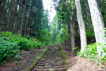 Stairs leading to a shrine deep in the mountains of Japan