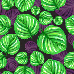 Hand-drawn watercolor pattern green and purple tropical leaf on a dark background for your design