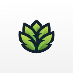 leaf vegetable design