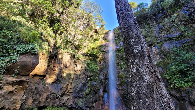 cachoeira e natureza 