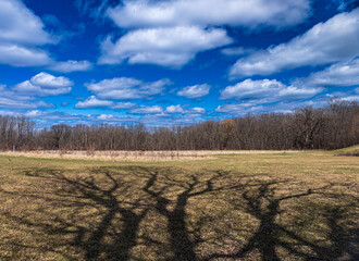 Obraz premium autumn