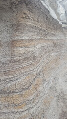 Rock texture found in Alberta