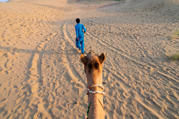 Cameleer leading a camel, Camelus dromedarius, into sand dunes of Thar desert, Rajasthan, India....