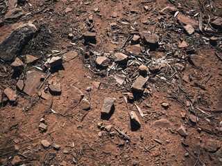 Rocks on the ground