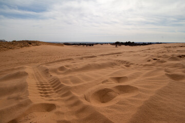 Little Sahara State Park, OK