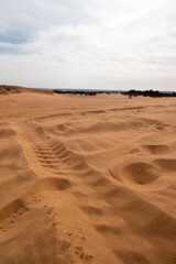 Little Sahara State Park, OK