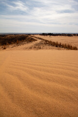 Little Sahara State Park, OK