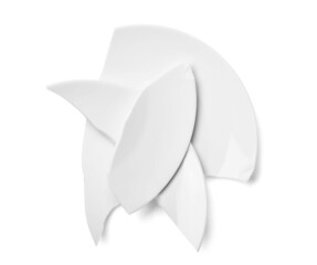 Broken ceramic plate on white background