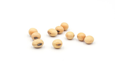 soybean seeds isolated on white background