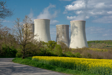 Cooling towers of nuclear power plant with the yellow field of rapeseed, canola or colza. Mochovce....