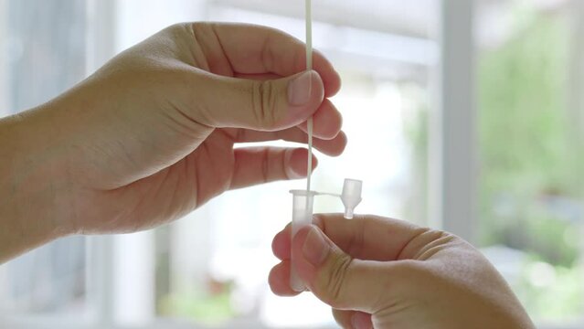 Close up hand using rapid antigen test kit (ATK) for self test at home. Pandemic of disease, covid-19, coronavirus
