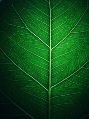 green leaf wallpaper background