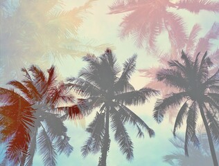 Fototapeta na wymiar coconut tree with summer background
