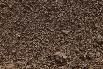 Damp soil for planting as background, garden fertile beds. Natural texture pattern