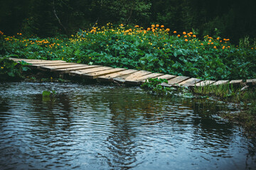 Obraz premium Forest with wooden plank bridge. Spruce and green grass on river shore. Pier for boats, village marina.