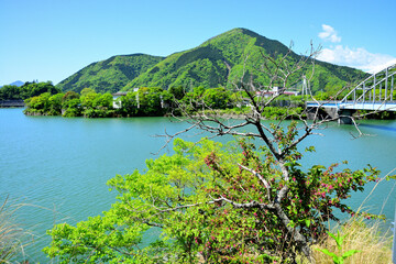 丹沢湖 神奈川県山北町の風景