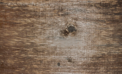 Brown wood texture. Abstract background, 