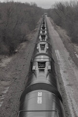 railroad tracks in the forest