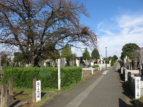 秋の染井霊園