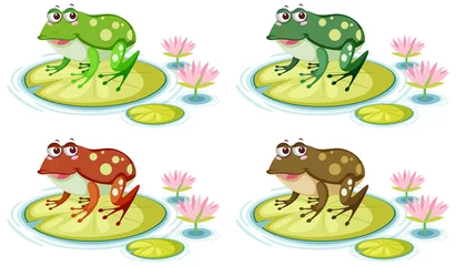 Fotobehang Cute frog on lily pad on white background © brgfx