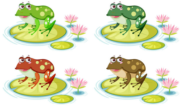 Cute frog on lily pad on white background