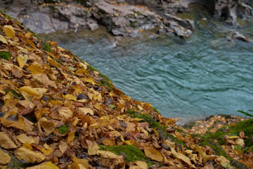 Pure mountain river.