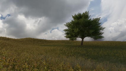 空　雲　太陽　草原　木　独立木