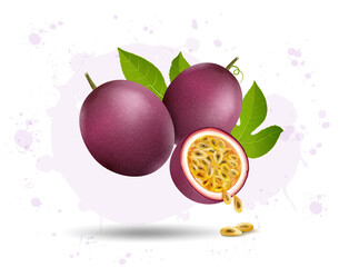 Purple passion fruit vector illustration with half piece of fruit with green leaves isolated on white background