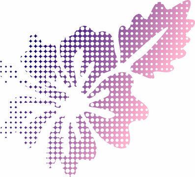 Ribbon S Photos Images Assets Adobe Stock