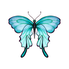 Beautiful watercolor butterfly on a white background. Wings with colorful patterns.