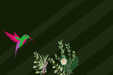 background with hummingbird