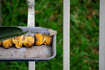 tools on a fence