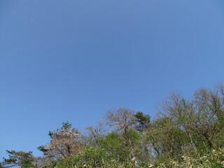 快晴の春の空