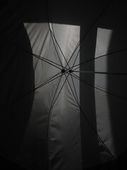 studio flash with diffuser umbrella