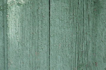 Fototapeta premium Background picture made of old green wood boards