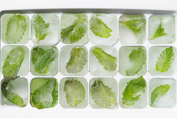 Obraz premium Mint leaves frozen in ice cubes. Fresh thirst-quenching mint for the summer. Frozen food concept