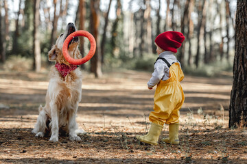 Obraz premium Little girl with golden retriever dog in the forest