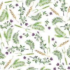 Seamless pattern with violet summer flowers, dry ears  and green leaves. Hand drawn watercolor illustration.