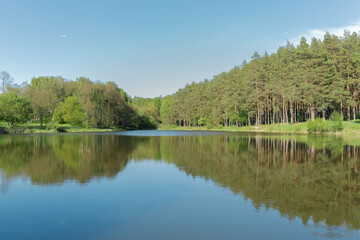 Fototapeta na wymiar .a lake with a pine forest on the shore and a reflective blue sky on a summer day