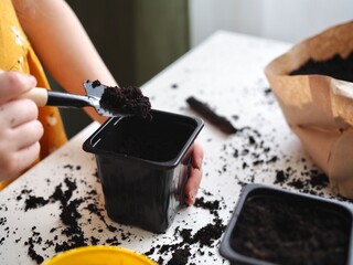 Female child hands holding garden tools. Little girl planting seeds in the pots at home. Home gardening, transplanting plants, seedlings