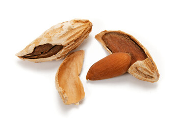 キルギスの野生の殻付きアーモンド