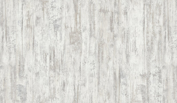 Seamless old tree texture
