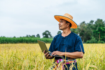 Asian farmer use laptop in rice field