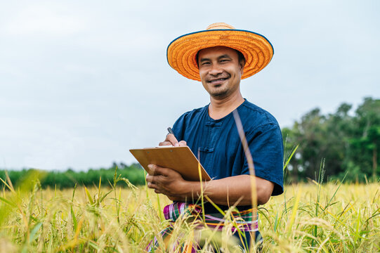 Asian farmer write on clipboard in rice field