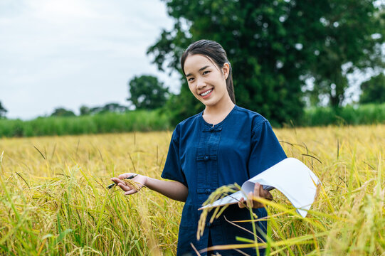 Asian farmer woman write on clipboard in rice field