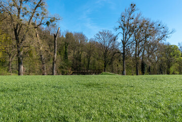 Obraz premium Nature reserve Roter Rain at the Enz loop nearby Muhlhausen on the Enz