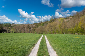 Field path at the Enz loop nearby Mulhausen on the Enz